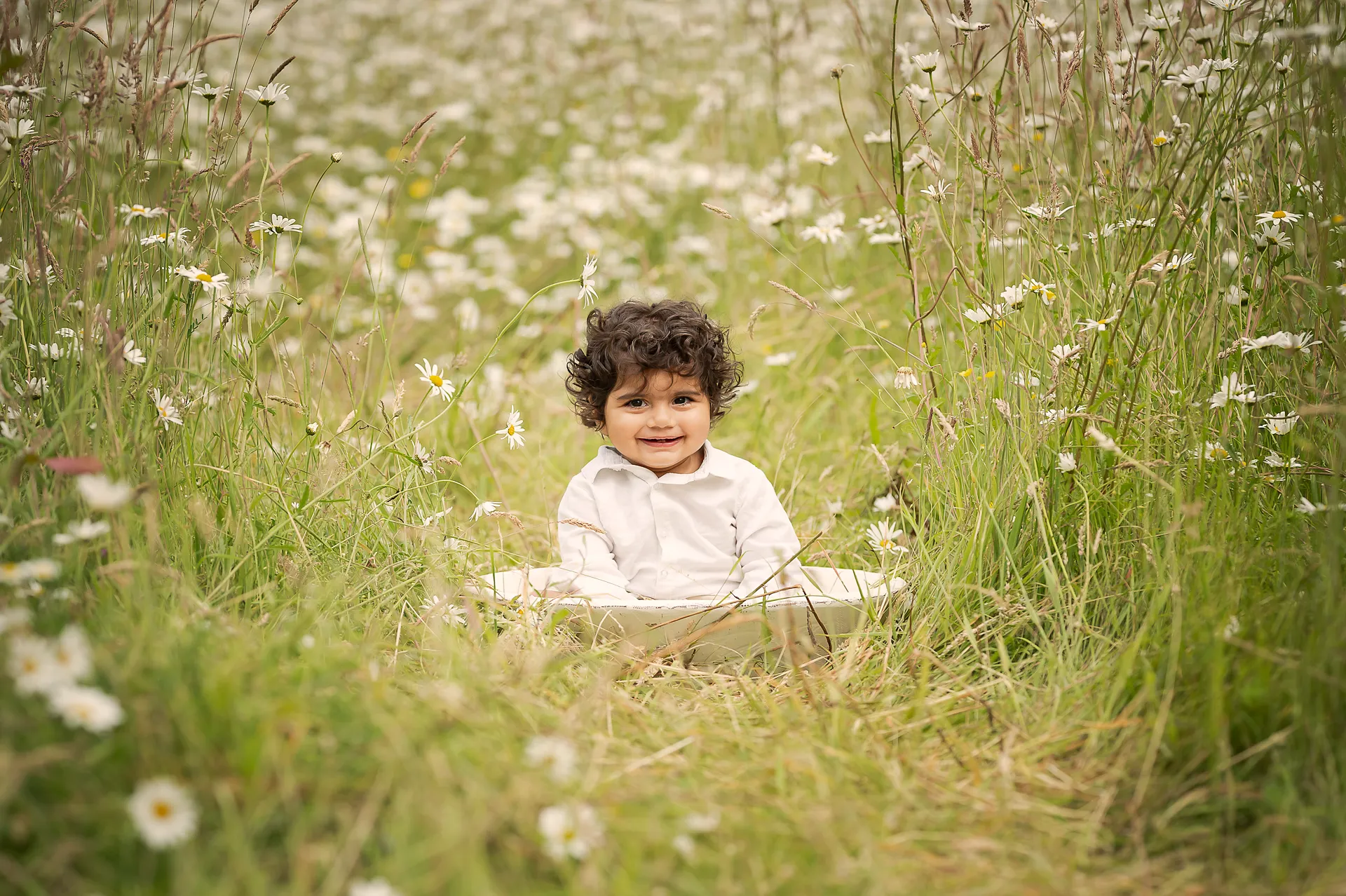 rebecca-fitch-photography-daisy-shoot-a Rebecca Fitch Photography Daisy Shoot