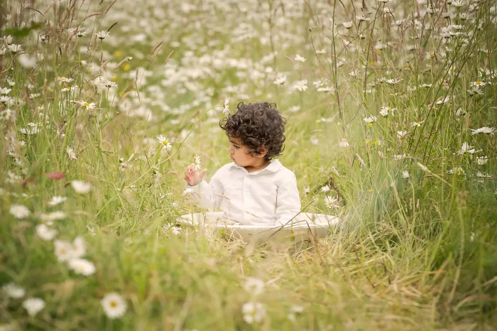 Rebecca Fitch Photography Daisy Shoot